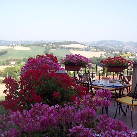 La Terrazza Fio...Rita Bed and Breakfast Ripa Εξωτερικό φωτογραφία