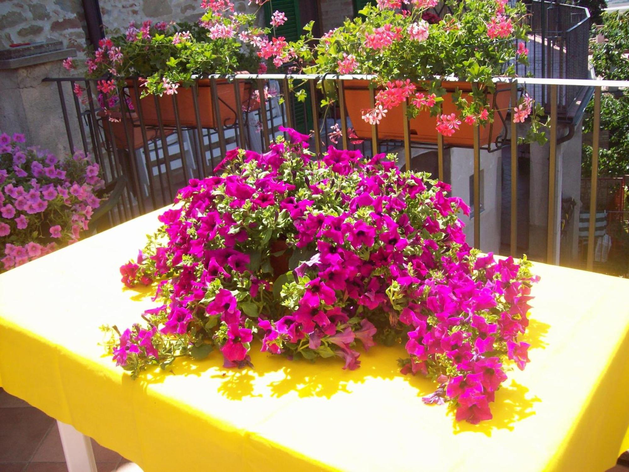 La Terrazza Fio...Rita Bed and Breakfast Ripa Εξωτερικό φωτογραφία